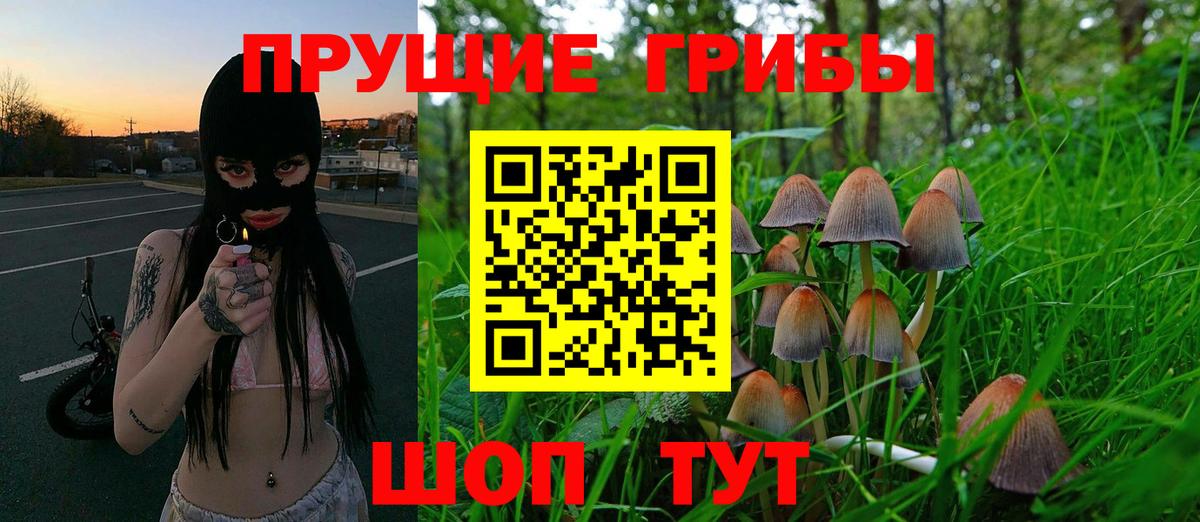 Галлюциногенные грибы Cubensis  Вход с VPN  как найти закладки  Дедовск 